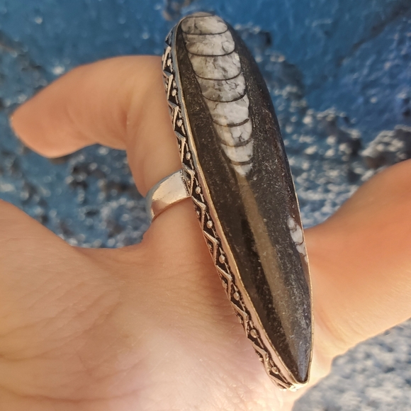 New Oversized Orthoceras Fossil 925 Silver Statement Ring. - Picture 14 of 16